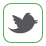 RR